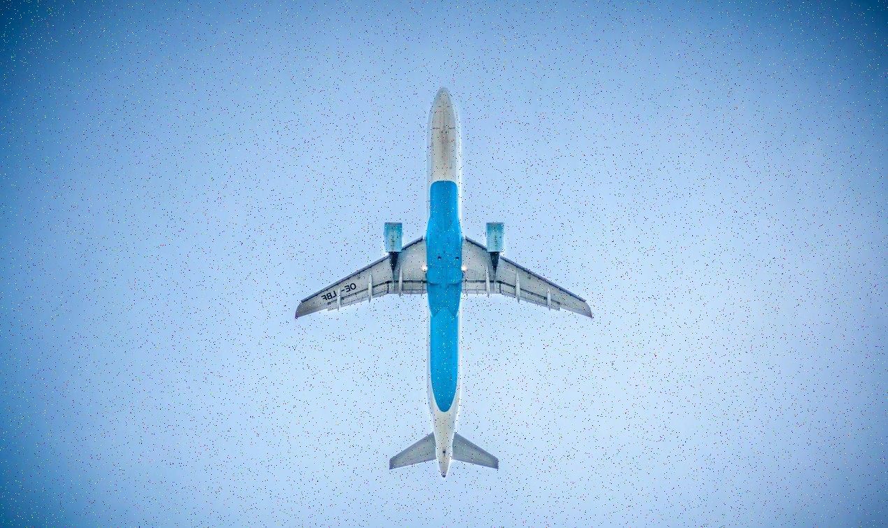 Sharks and rays in tunnel